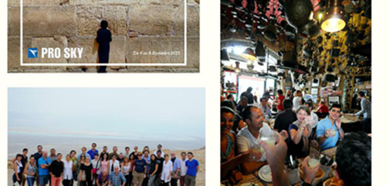 Infographie : Retour sur l’année 2015 de PRO SKY France